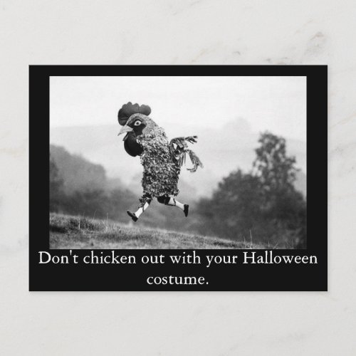 Chicken Out Halloween Postcard