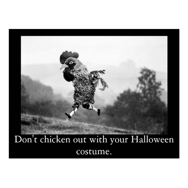 Chicken Out Halloween Postcard
