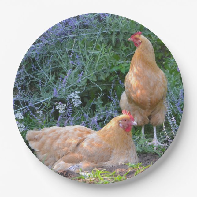 Chicken Paper Plate (Front)