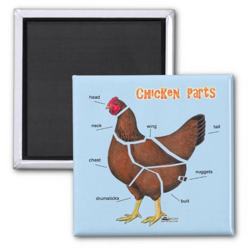 Chicken Parts Magnet