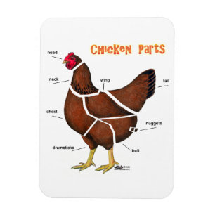 Chicken Parts Magnet
