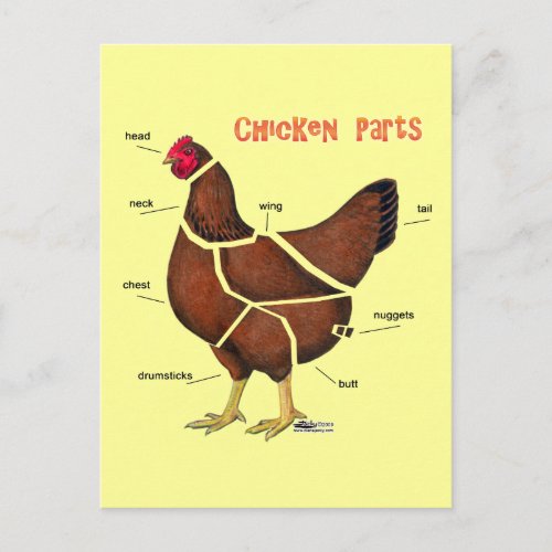 Chicken Parts Postcard