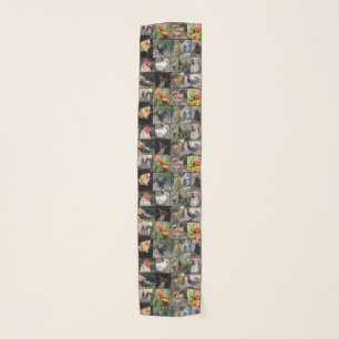 Chicken Photo Collage, Scarf