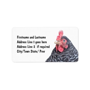 Chicken Picture Barred Rock Laying Hen Label by CountryCorner at Zazzle