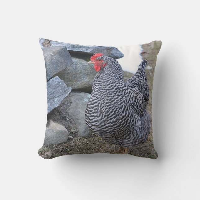 Chicken Pillow (Front)