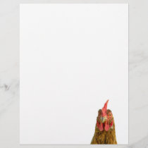 Chicken Portrait Letterhead
