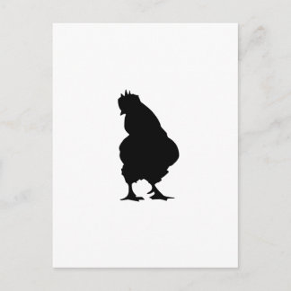 Chicken Postcard