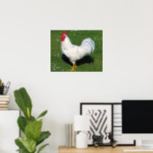 Chicken Poster | Zazzle