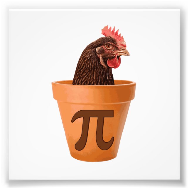 Chicken Pot Pi (and I don't care) Photo Print (Front)