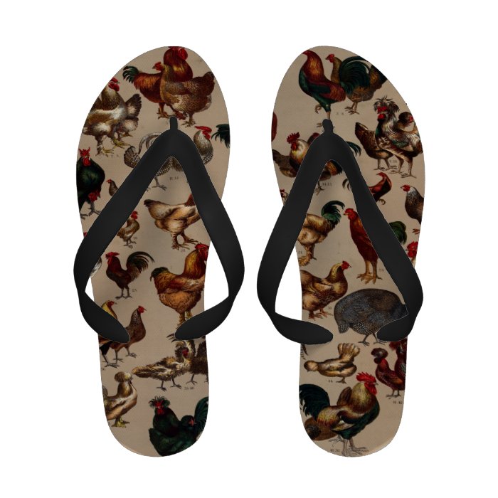 Chicken Poultry Of The World Flip Flops