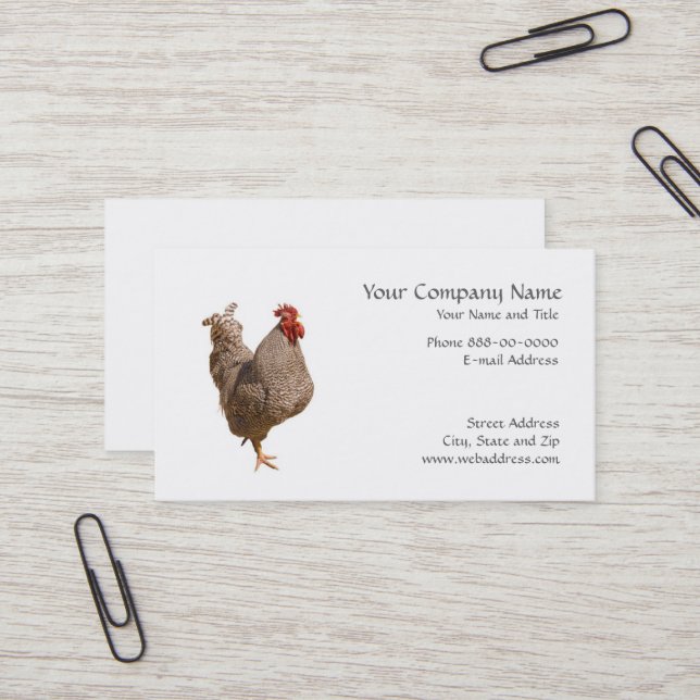 Chicken Rancher Business Card (Front/Back In Situ)