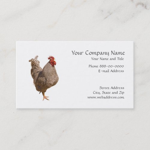 Chicken Rancher Business Card