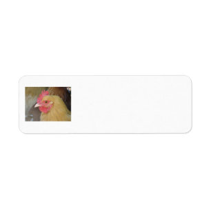 Chicken Return Labels