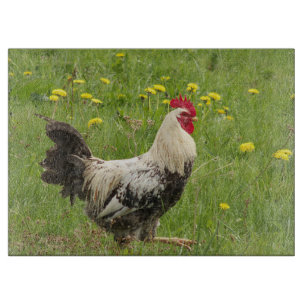 chicken, rooster, animal, bird, farm, agriculture, cutting board