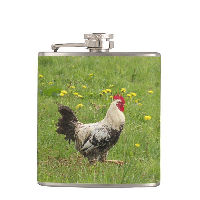chicken, rooster, animal, bird, farm, agriculture, flask (Front)