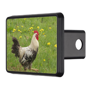 chicken, rooster, animal, bird, farm, agriculture, hitch cover