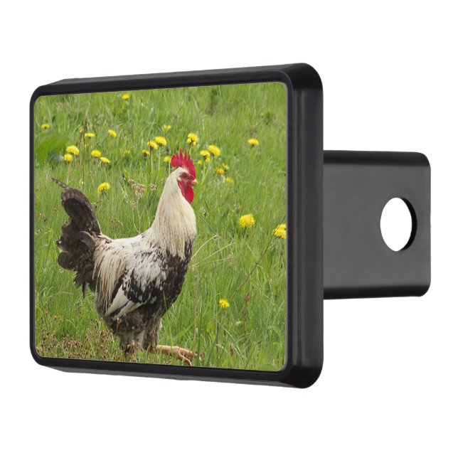 chicken, rooster, animal, bird, farm, agriculture, hitch cover (Left)