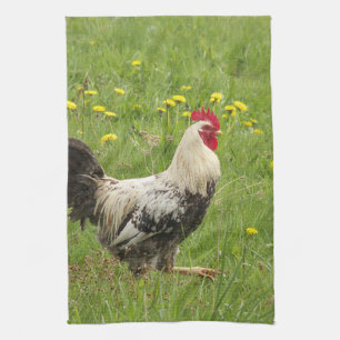 chicken, rooster, animal, bird, farm, agriculture, kitchen towel