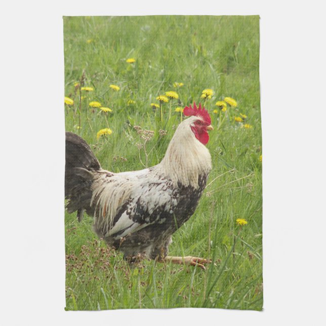 chicken, rooster, animal, bird, farm, agriculture, kitchen towel (Vertical)