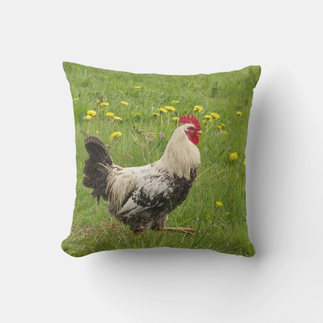 chicken, rooster, animal, bird, farm, agriculture, throw pillow (Front)