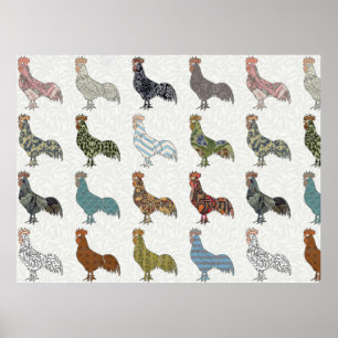 Chicken Rooster Colorful Pattern Farm Poster