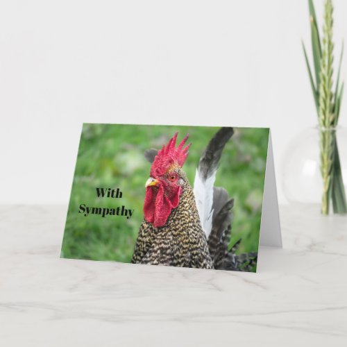 Chicken Rooster Photo Sympathy Card