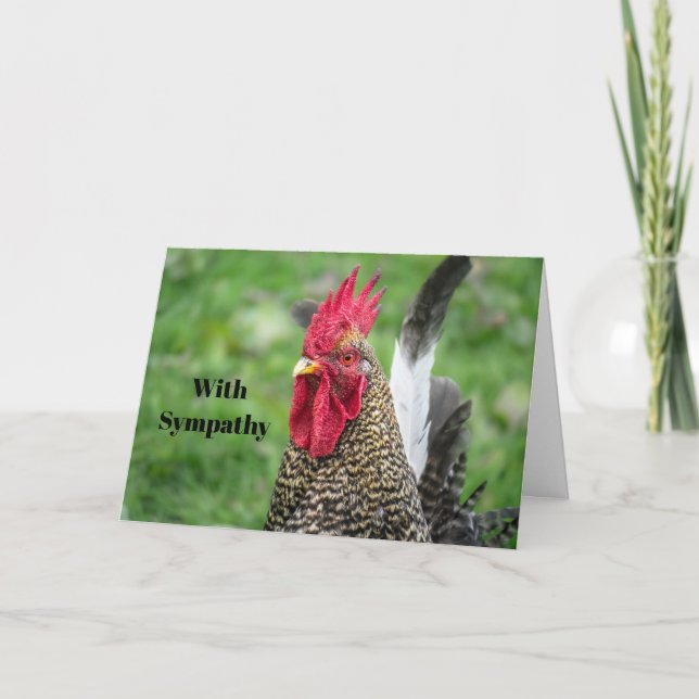 Chicken Rooster Photo Sympathy Card (Front)