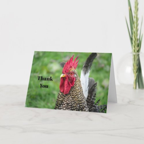 Chicken Rooster Photo Thank You Card