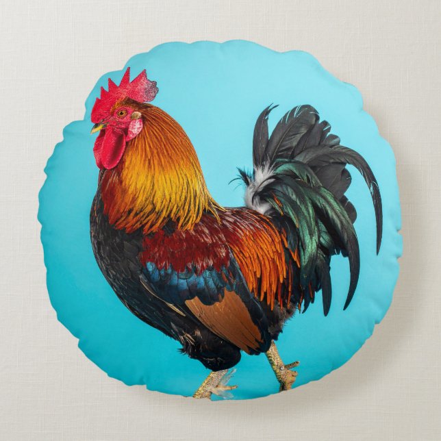 chicken round pillow (Front)