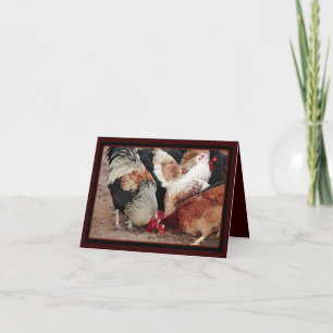 Chicken Scratch Card