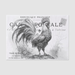 Chicken Scratch Tissue Paper