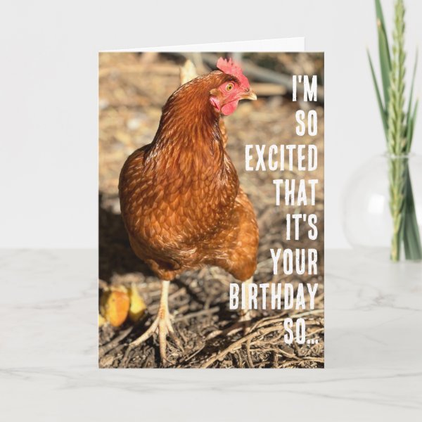 Chicken Side-Eye Close-Up Photograph