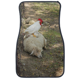 Chicken Sitting on a Sheep Car Floor Mat
