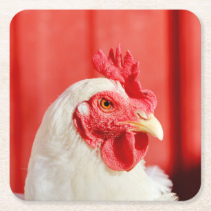 Chicken Square Paper Coaster