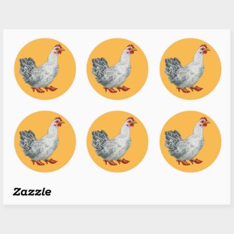 Chicken Stickers | Zazzle