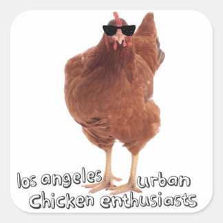 Chicken Stickers! Square Sticker