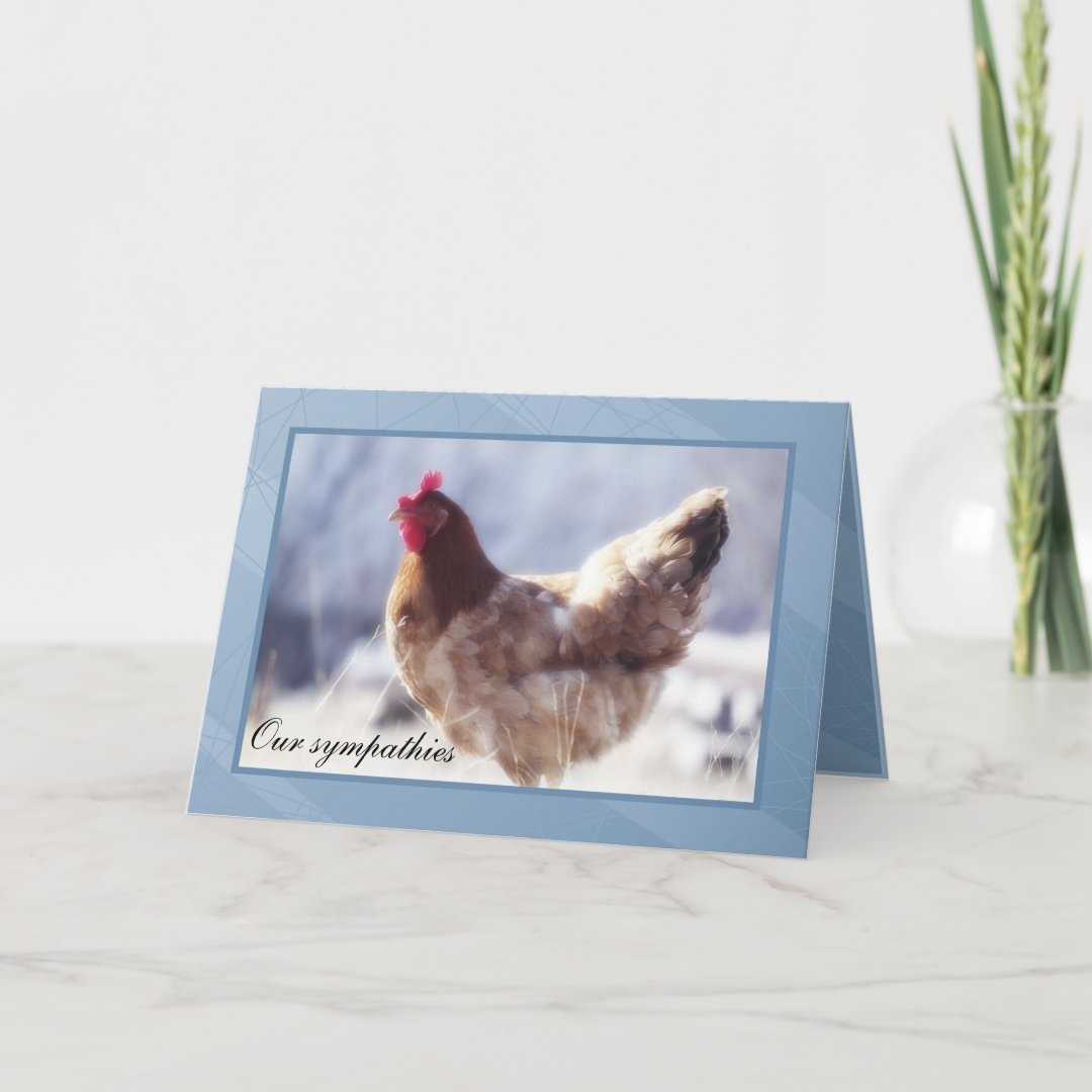 Chicken Sympathy Card Zazzle