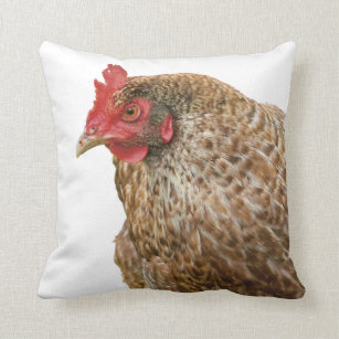 down pillows on sale