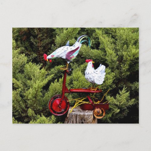 Chicken Trike Postcard