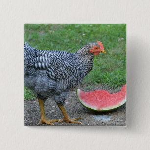 Chicken Watermelon Button