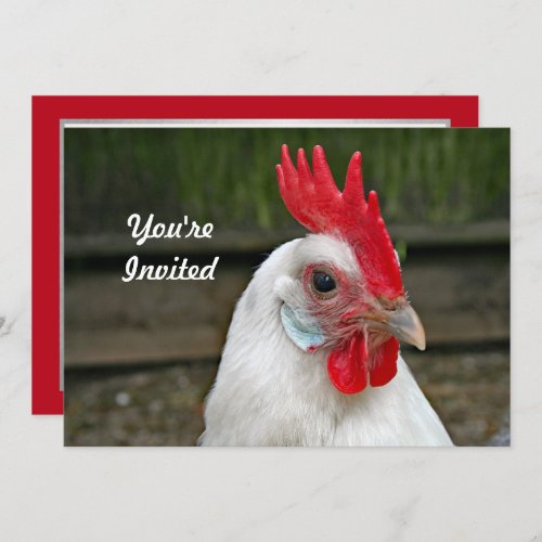 Chicken White Head Rooster Photo Birthday Invitation