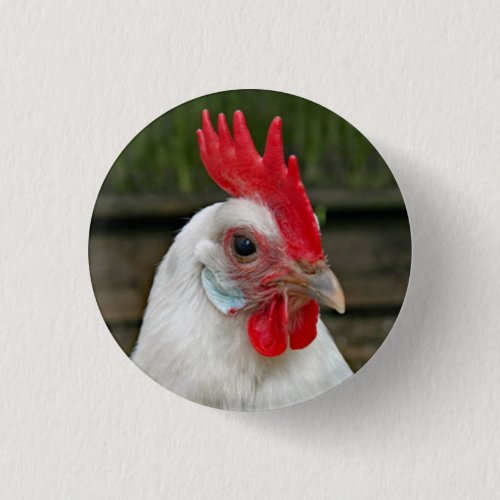 Chicken White Head Rooster Photo Button