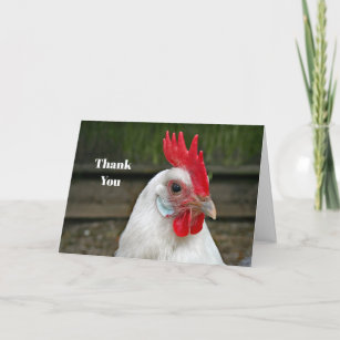 Chicken White Head Rooster Photo Thank You Card