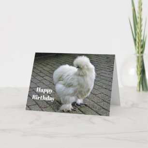 Chicken White Silkie Photo Birthday Card