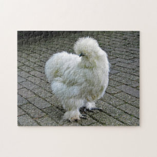 Chicken White Silkie Photo Jigsaw Puzzle