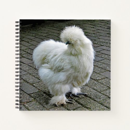 Chicken White Silkie Photo Notebook