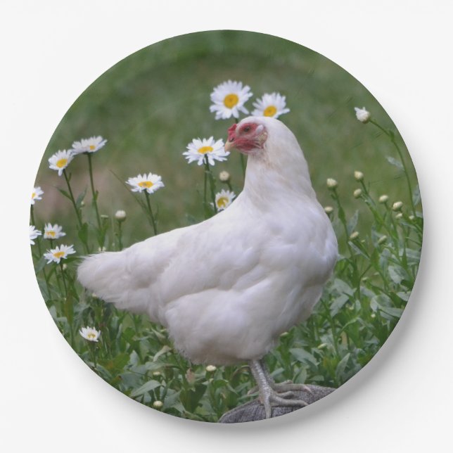 Chicken With Daises Paper Plates (Front)