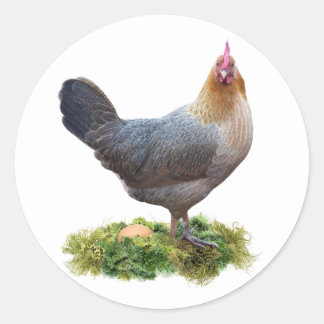 Chicken with Lichen Nest Sticker