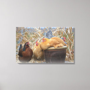 Chicken Wrapped Canvas