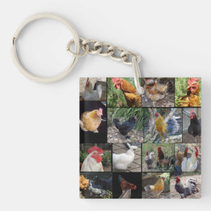 Chickens And Roosters Photo Collage, Keychain